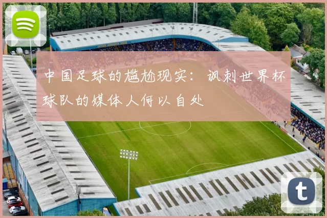 中国足球的尴尬现实：讽刺世界杯球队的媒体人何以自处